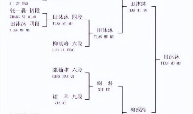 像一个AI，14岁中国围棋四段少年闯进烂柯杯32强，全盘无恶手