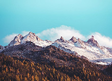 开云下载：开启云端下载新纪元